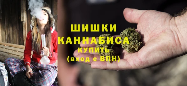 PSILOCYBIN Майский